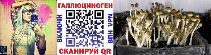 Псилоцибиновые грибы мицелий  где купить наркотик  даркнет формула  Симферополь  KRAKEN ССЫЛКА 